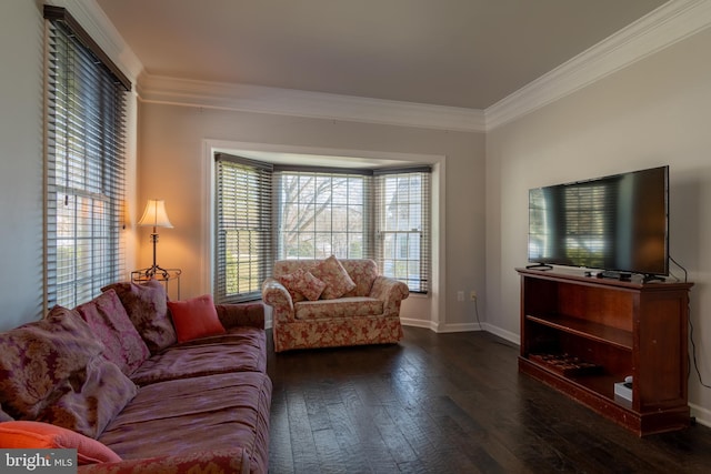 living room with crown molding and dark hardwood / wood-style flooring