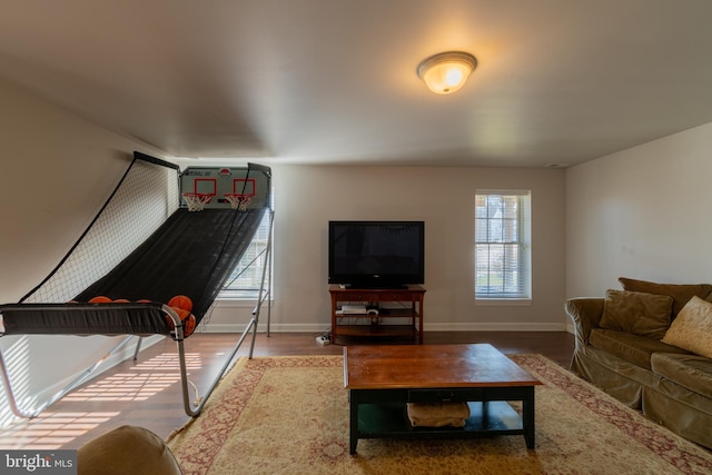 living room with hardwood / wood-style floors