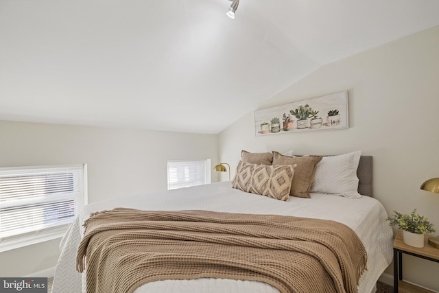 bedroom featuring vaulted ceiling