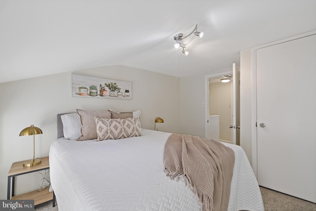 bedroom with lofted ceiling