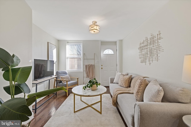 living room with wood-type flooring