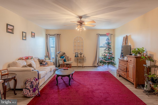 living room featuring ceiling fan and light wood-type flooring