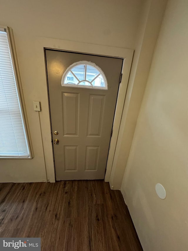 doorway to outside featuring dark wood-type flooring