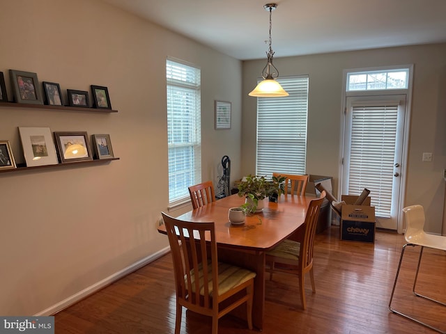 dining room with wood-type flooring and a wealth of natural light