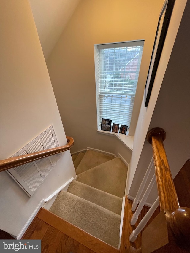 stairway with carpet floors