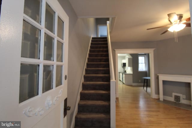 staircase with wood-type flooring and ceiling fan