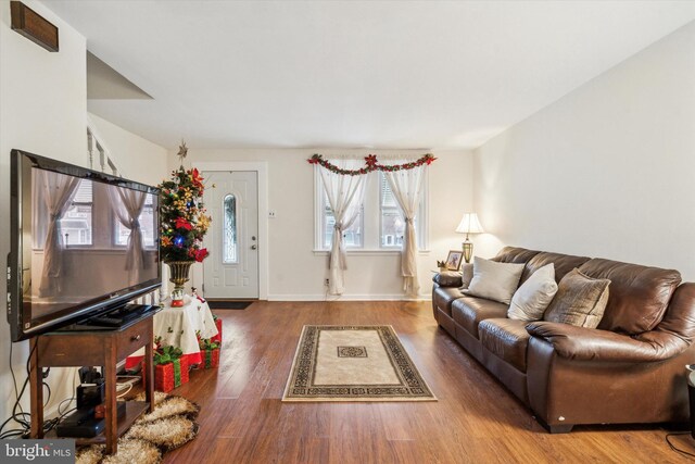 living room featuring dark hardwood / wood-style flooring