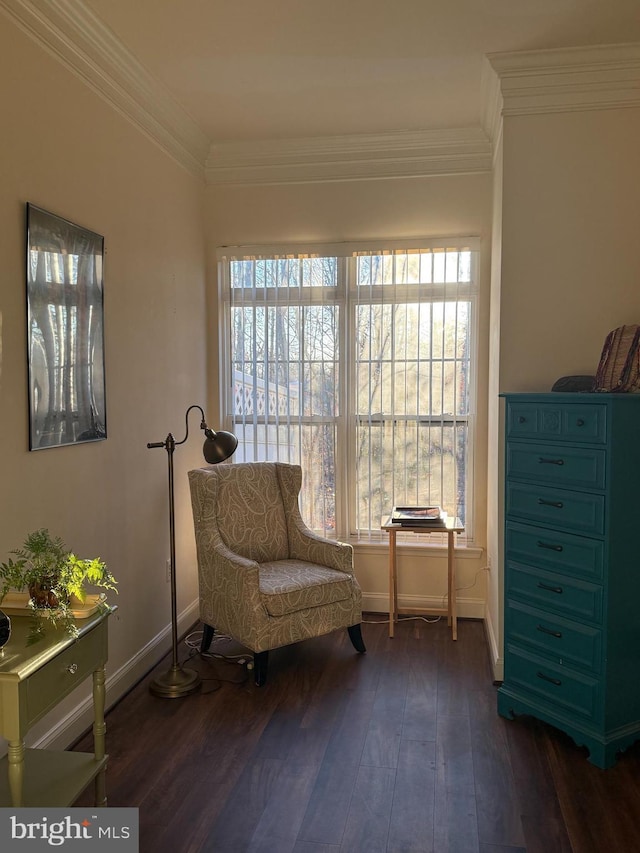 living area featuring dark hardwood / wood-style flooring and crown molding