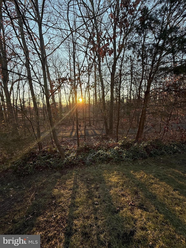 view of nature at dusk