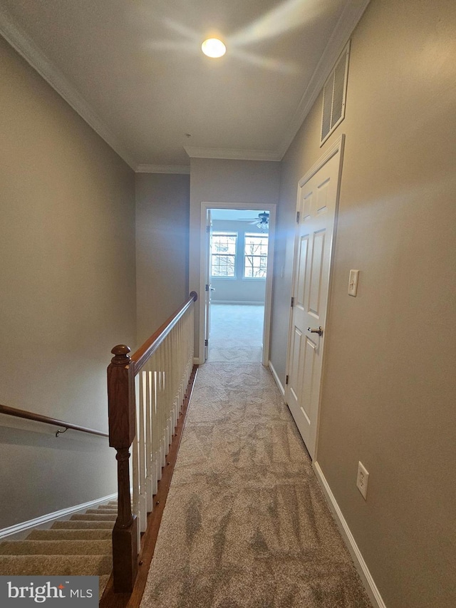 hall featuring light colored carpet and crown molding