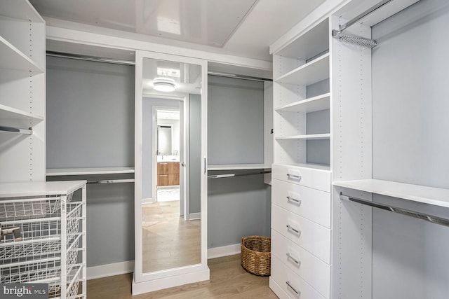 spacious closet featuring light hardwood / wood-style floors