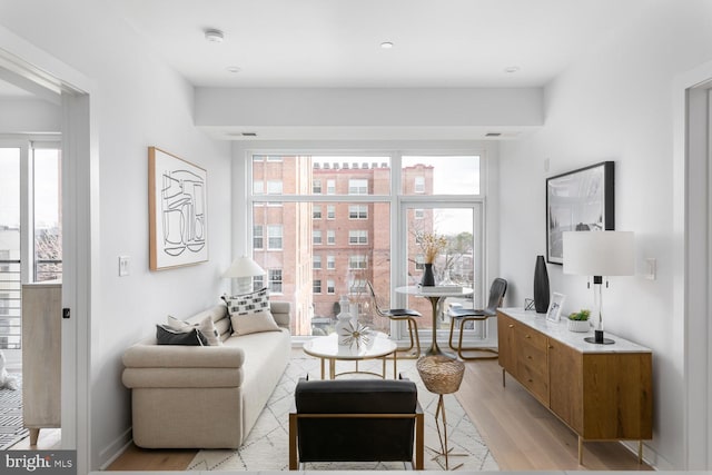 living area with light hardwood / wood-style flooring