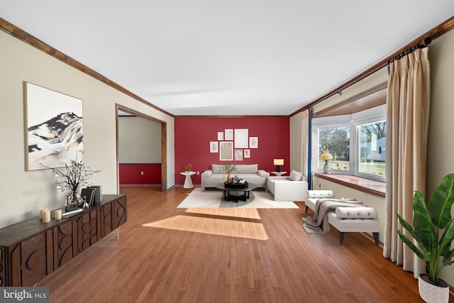 living room featuring ornamental molding and light hardwood / wood-style flooring