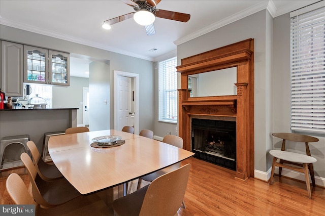 dining area featuring crown molding, ceiling fan, and light wood-type flooring