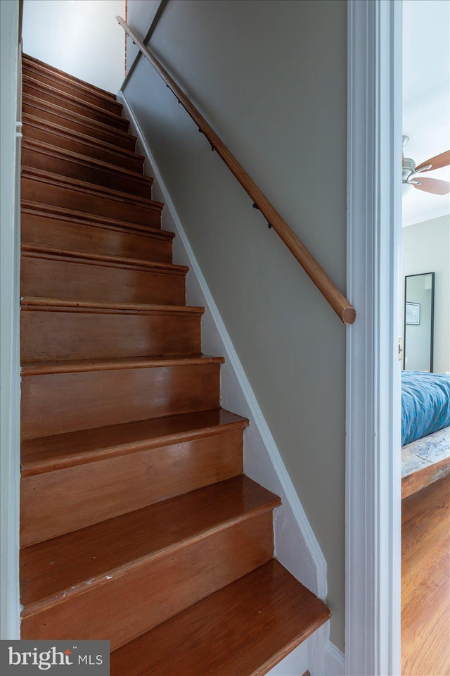 stairs featuring ceiling fan