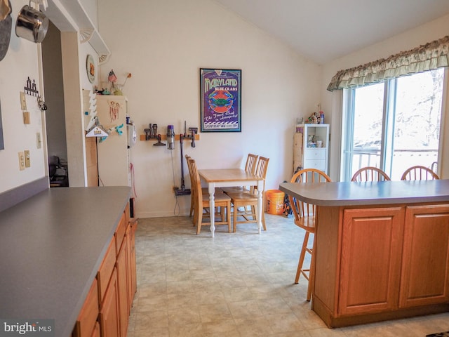 dining area with lofted ceiling