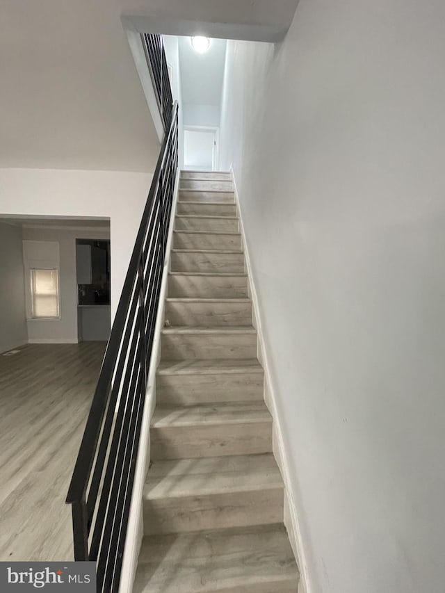 stairway featuring wood-type flooring