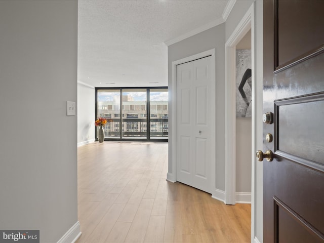 hallway featuring expansive windows, light wood-type flooring, ornamental molding, and a textured ceiling