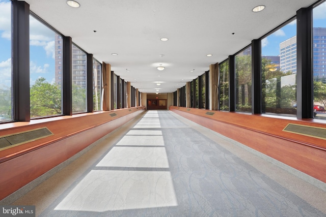 hall featuring carpet and plenty of natural light