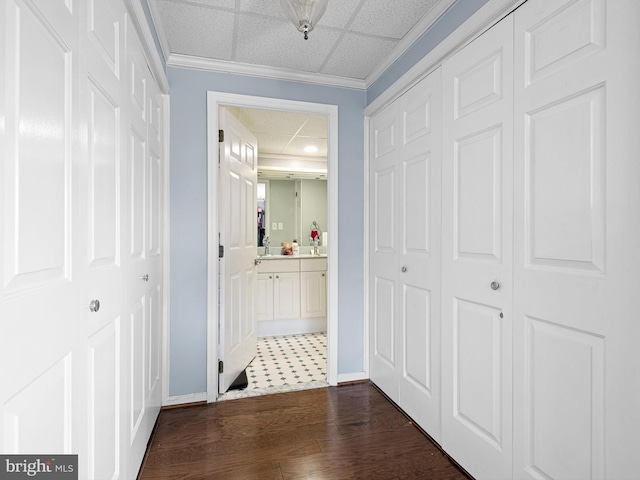 corridor featuring a drop ceiling, dark hardwood / wood-style floors, and ornamental molding