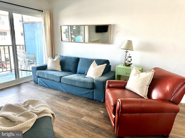 living room featuring a wealth of natural light and wood-type flooring