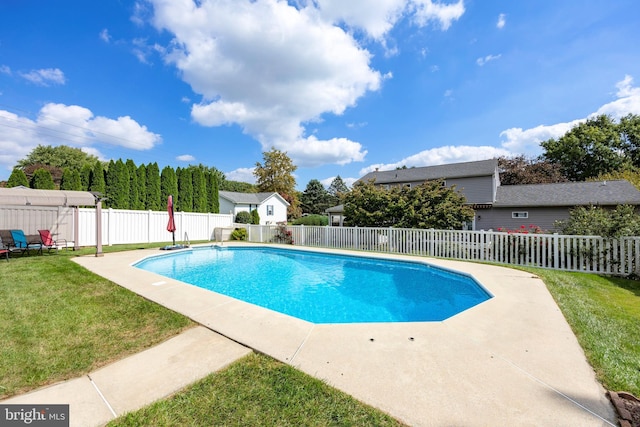 view of pool featuring a patio area and a lawn