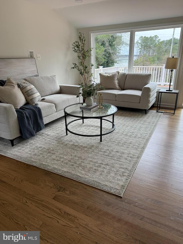 living room featuring wood-type flooring