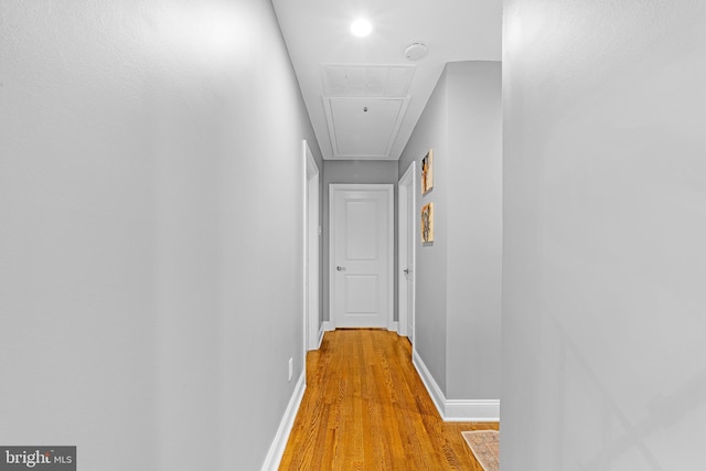 hall featuring light hardwood / wood-style floors