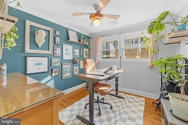 office featuring ornamental molding, ceiling fan, and light wood-type flooring