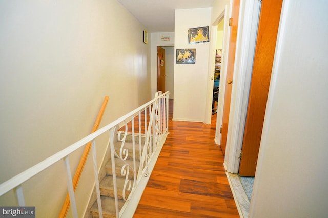 hall featuring hardwood / wood-style flooring