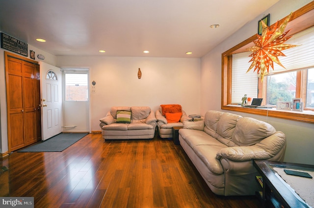 living room with dark hardwood / wood-style flooring