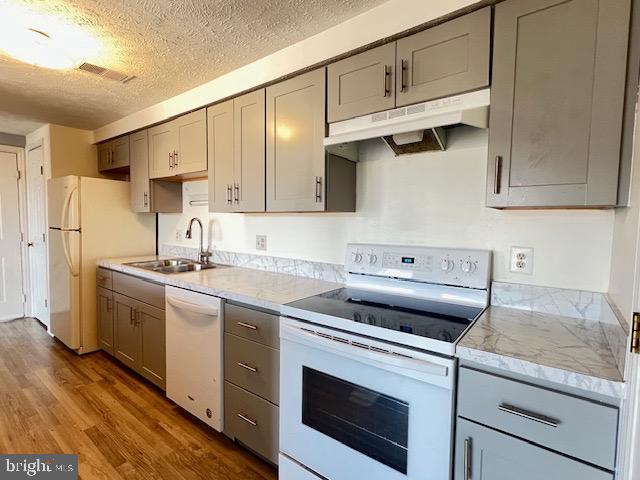 kitchen with gray cabinetry, sink, hardwood / wood-style floors, and white appliances