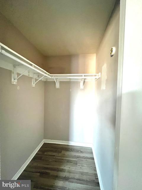 spacious closet featuring dark hardwood / wood-style flooring