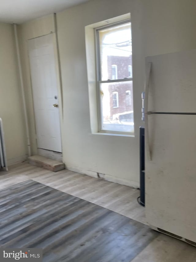 kitchen with white refrigerator, light hardwood / wood-style floors, and a wealth of natural light