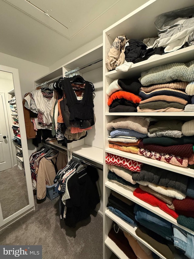 spacious closet with carpet floors