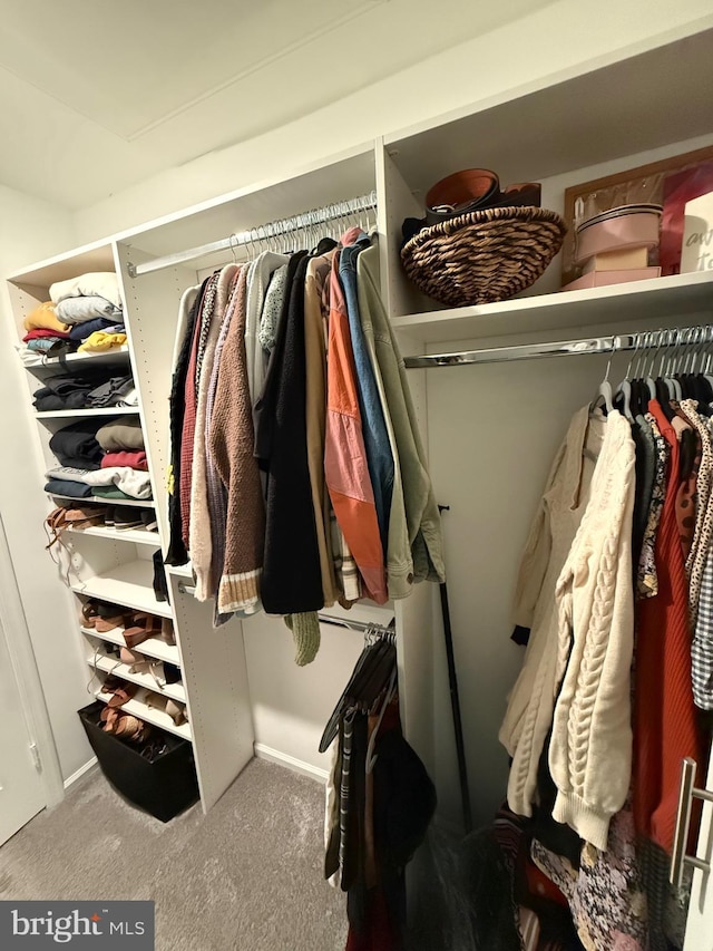 walk in closet featuring carpet