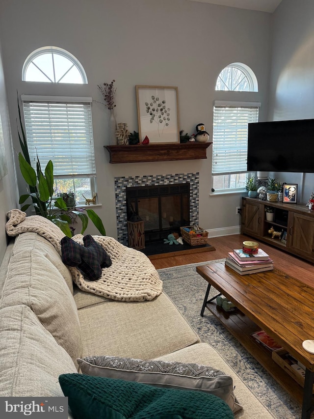 living room with hardwood / wood-style floors, plenty of natural light, and a fireplace