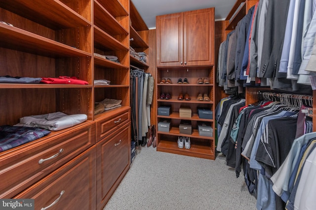 view of walk in closet