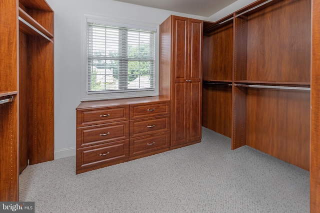 spacious closet featuring light carpet