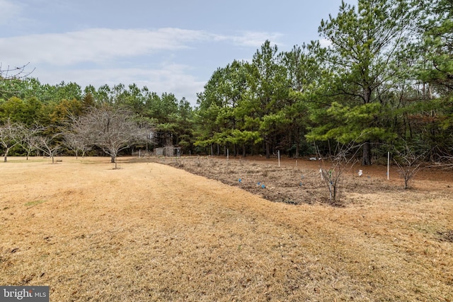 view of yard with a rural view