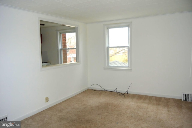 spare room with ornamental molding and light carpet