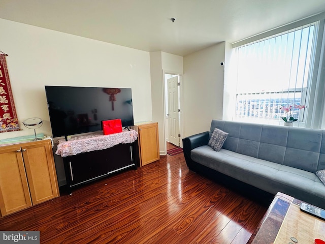 living room with dark wood-type flooring