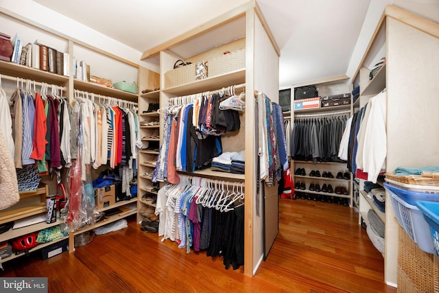 walk in closet featuring hardwood / wood-style flooring