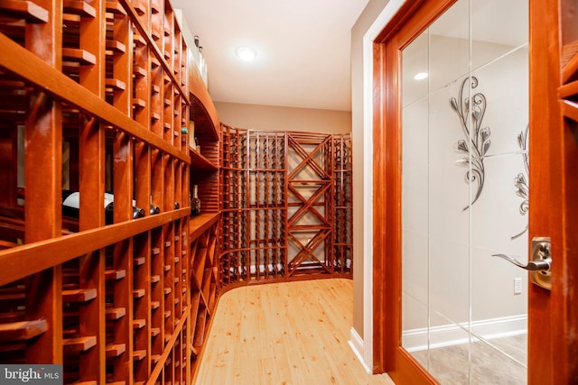 wine area with wood-type flooring