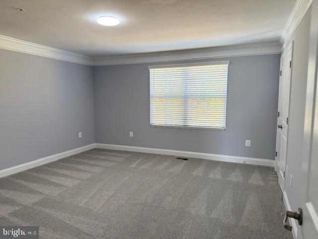 empty room with carpet and crown molding