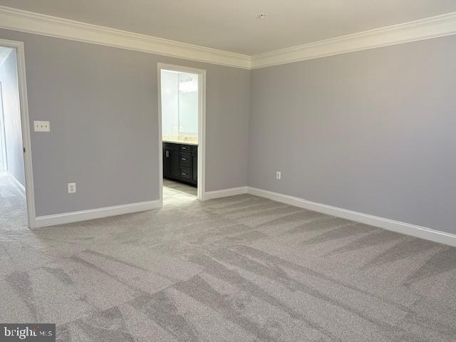 empty room with crown molding and light carpet