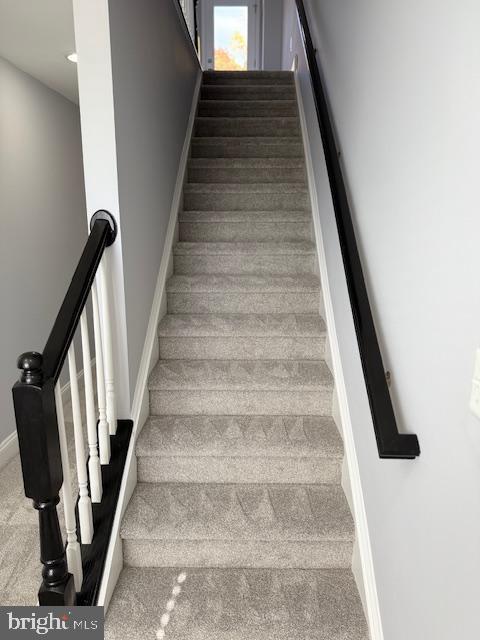 stairway featuring carpet floors