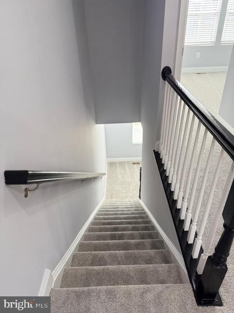 stairs with carpet floors