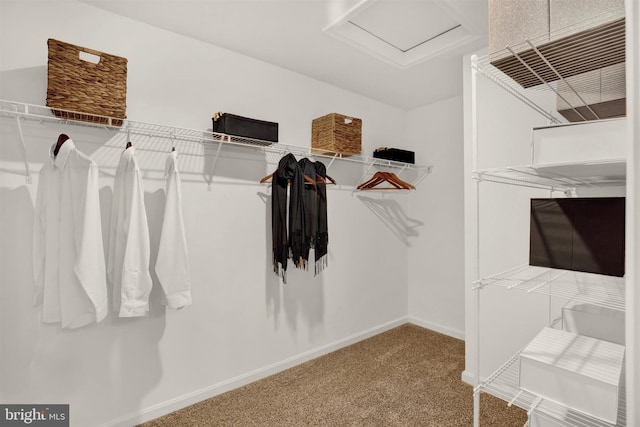 spacious closet with carpet