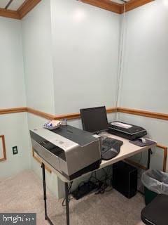 office space with crown molding and light colored carpet